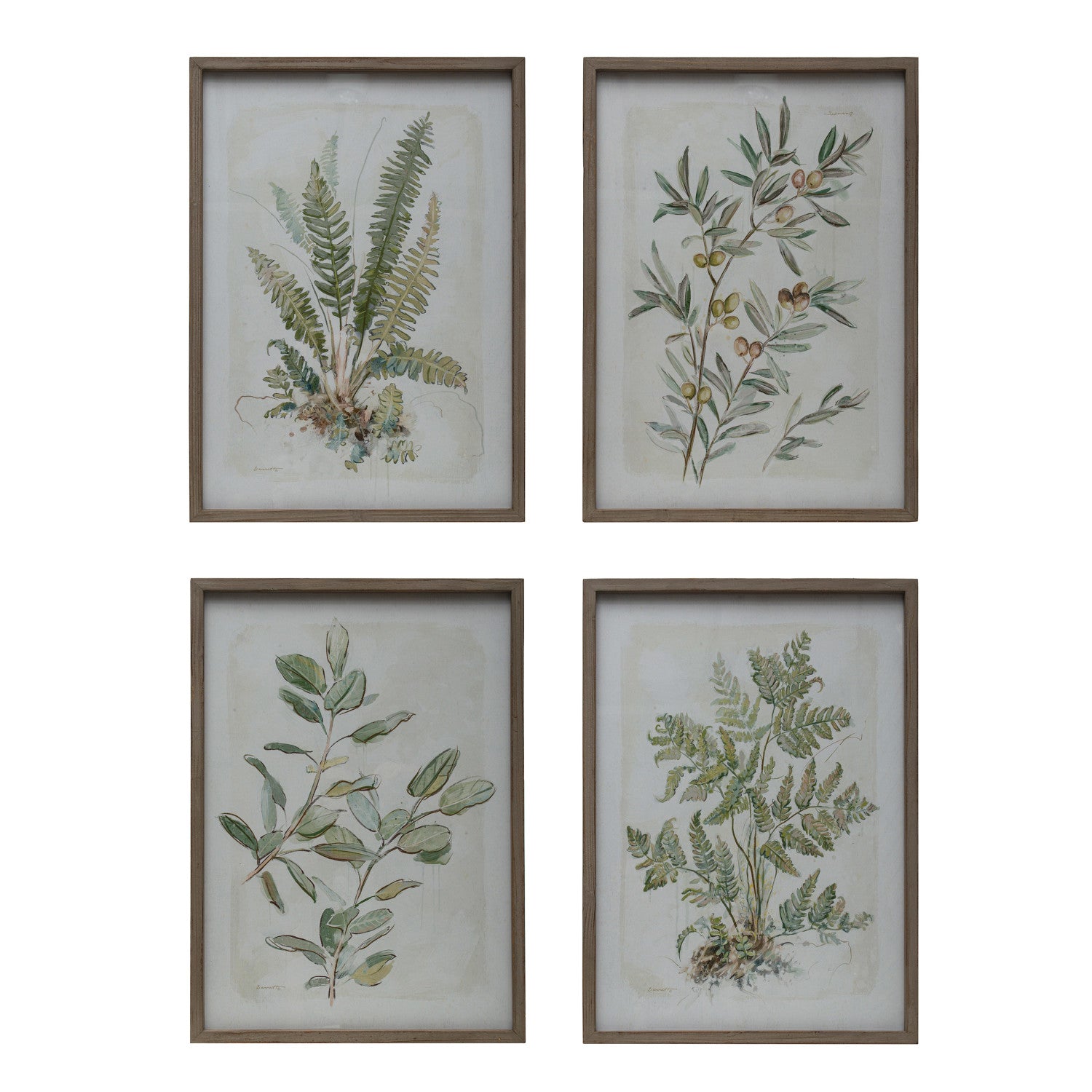 Wood Framed Glass Wall Décor w/ Botanical Print, 4 Styles