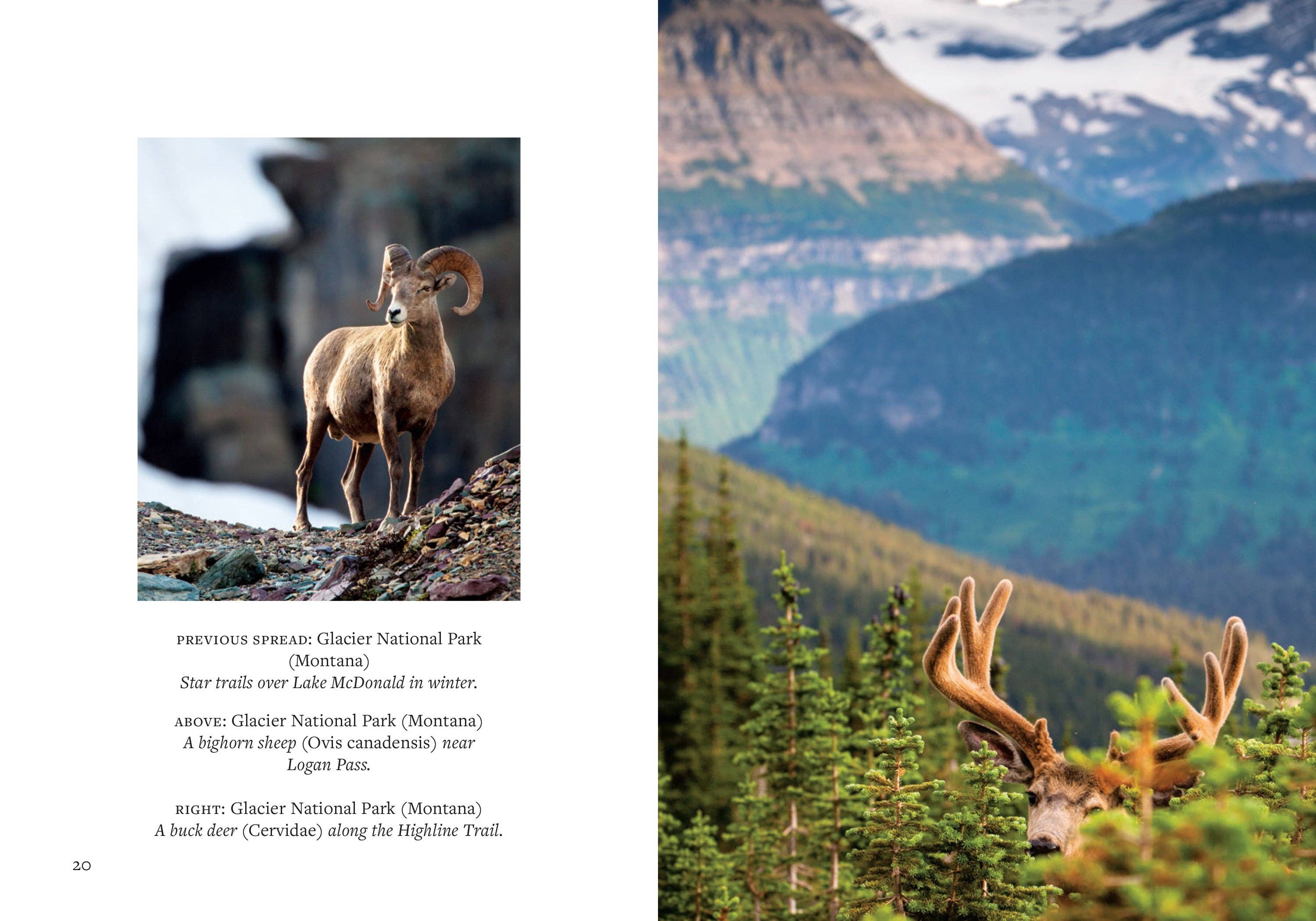 yotomo様　新品　botany whiteおまとめ All Outdoor – Josephine Interiors