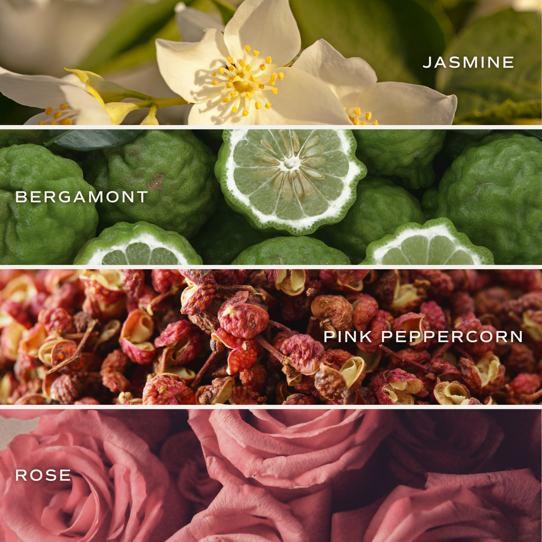 Josephine Interiors Flower Shop Candle - Thumbnail 4