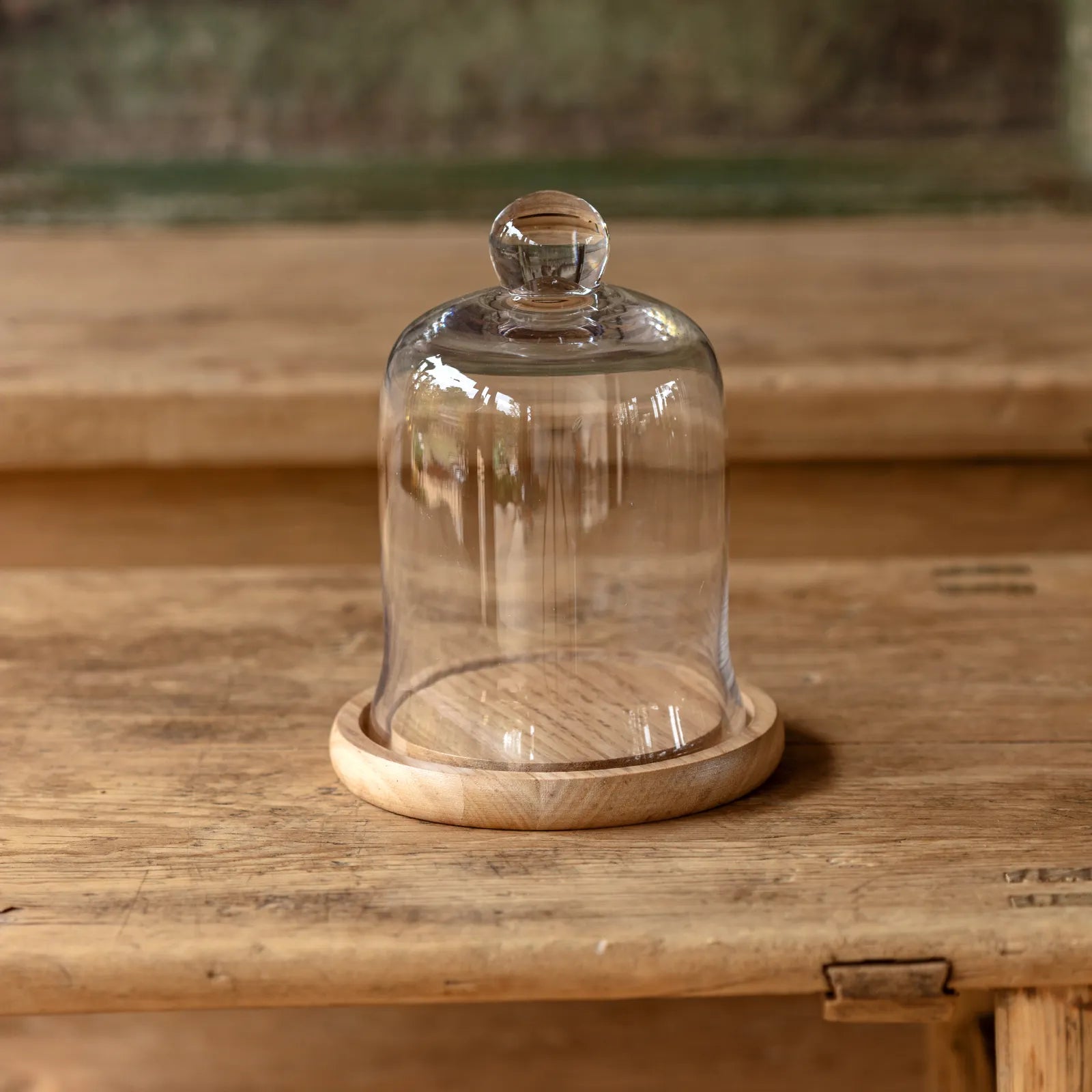 Glass Cloche & Wooden Base Set - Thumbnail 2