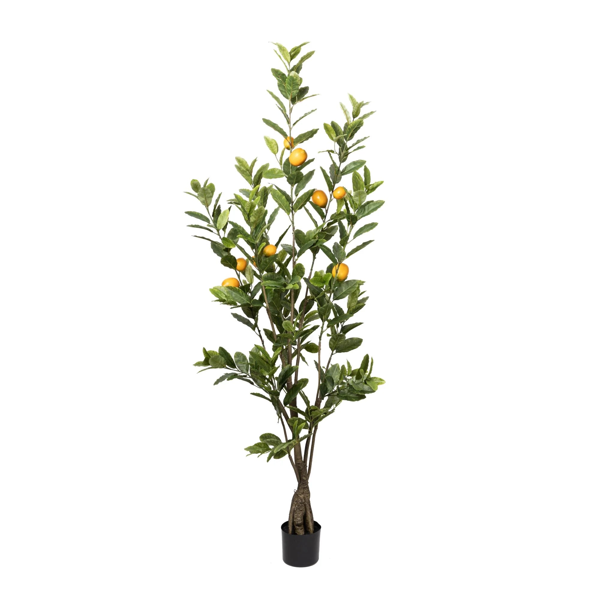Josephine Jewelry Co. Lemon Tree