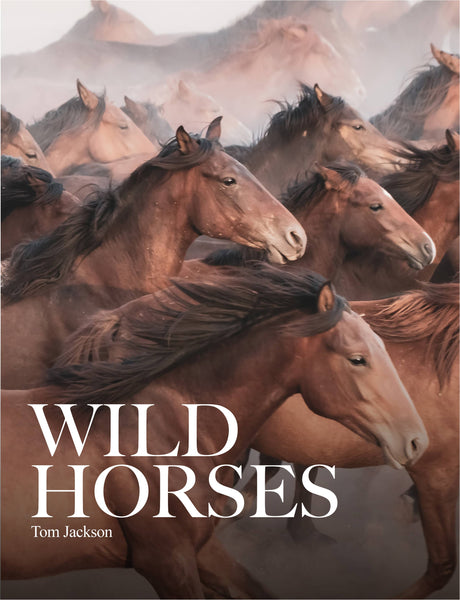 Wild Horses by Tom Jackson – Josephine Interiors