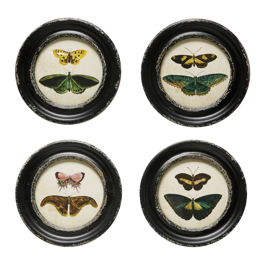 Butterfly & Moth Art – Josephine Interiors