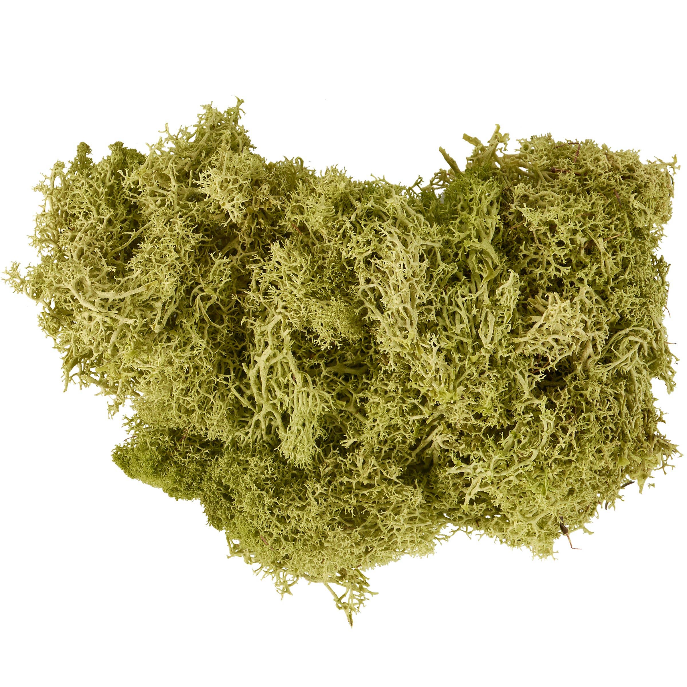 Josephine Jewelry Co. Moss Filler