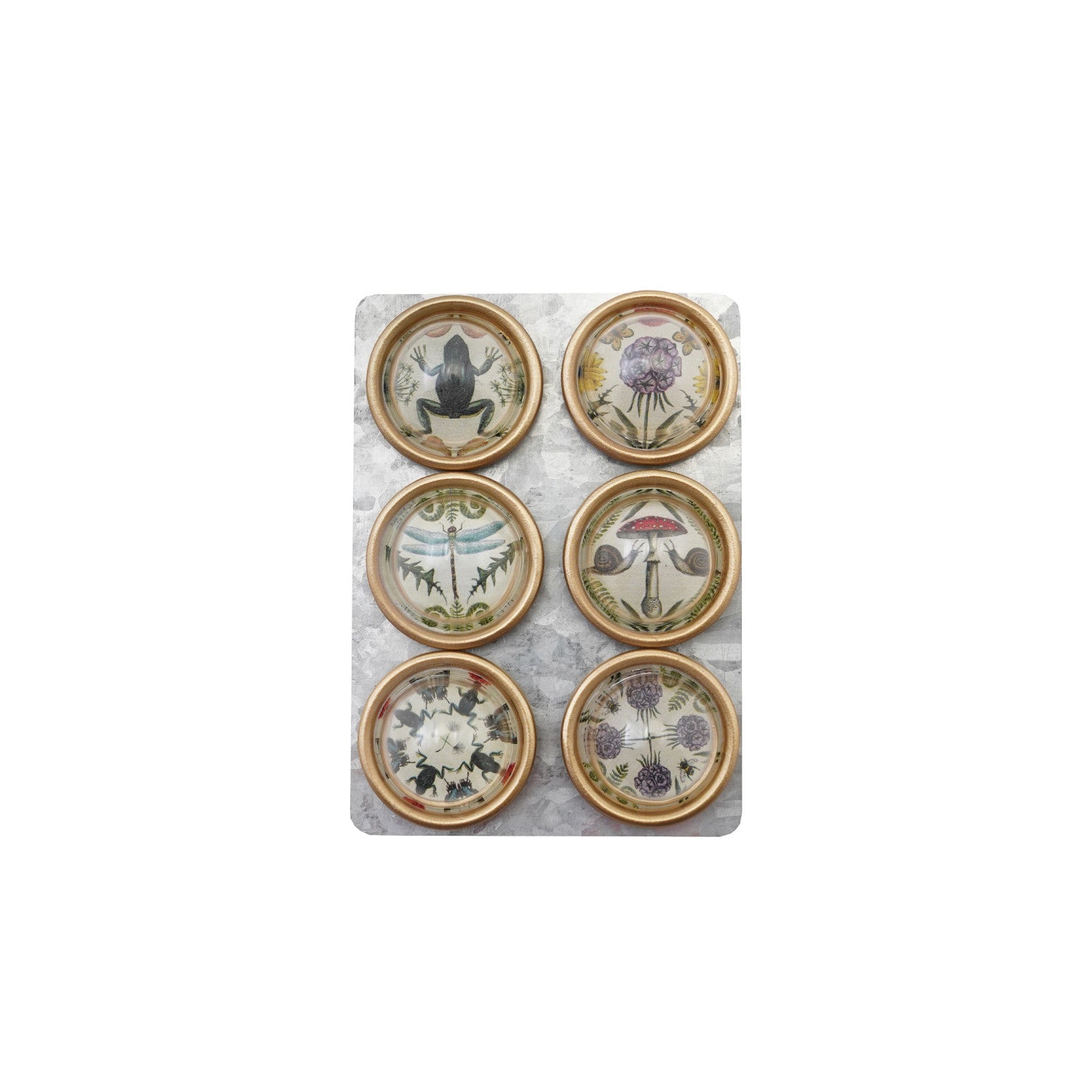 Josephine Interiors Magnets