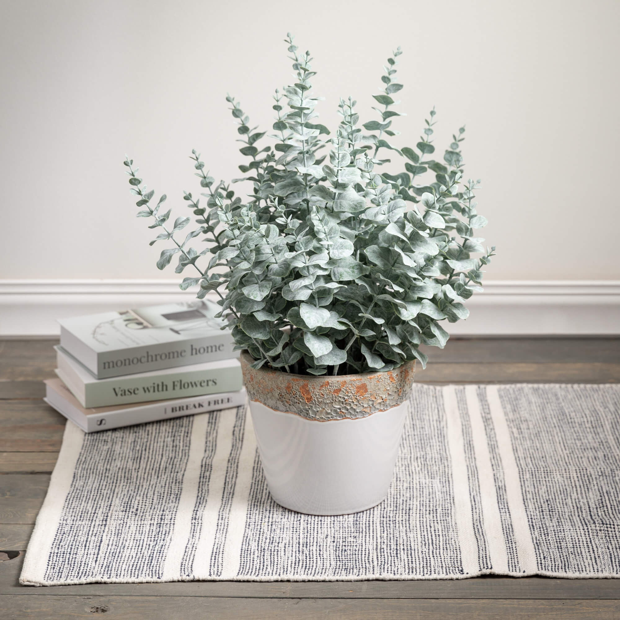 Potted Eucalyptus Bush - Thumbnail 2