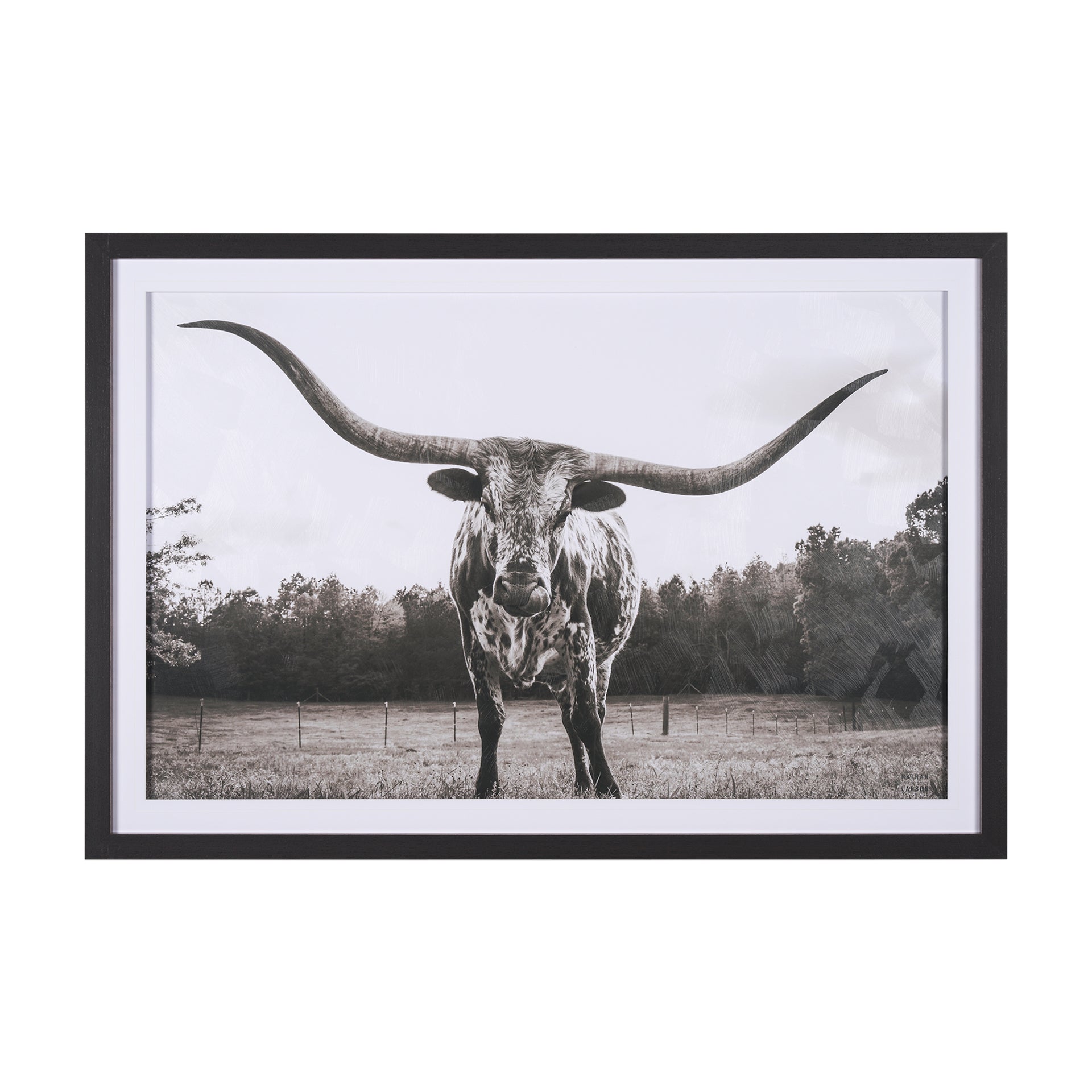 Josephine Interiors Longhorn