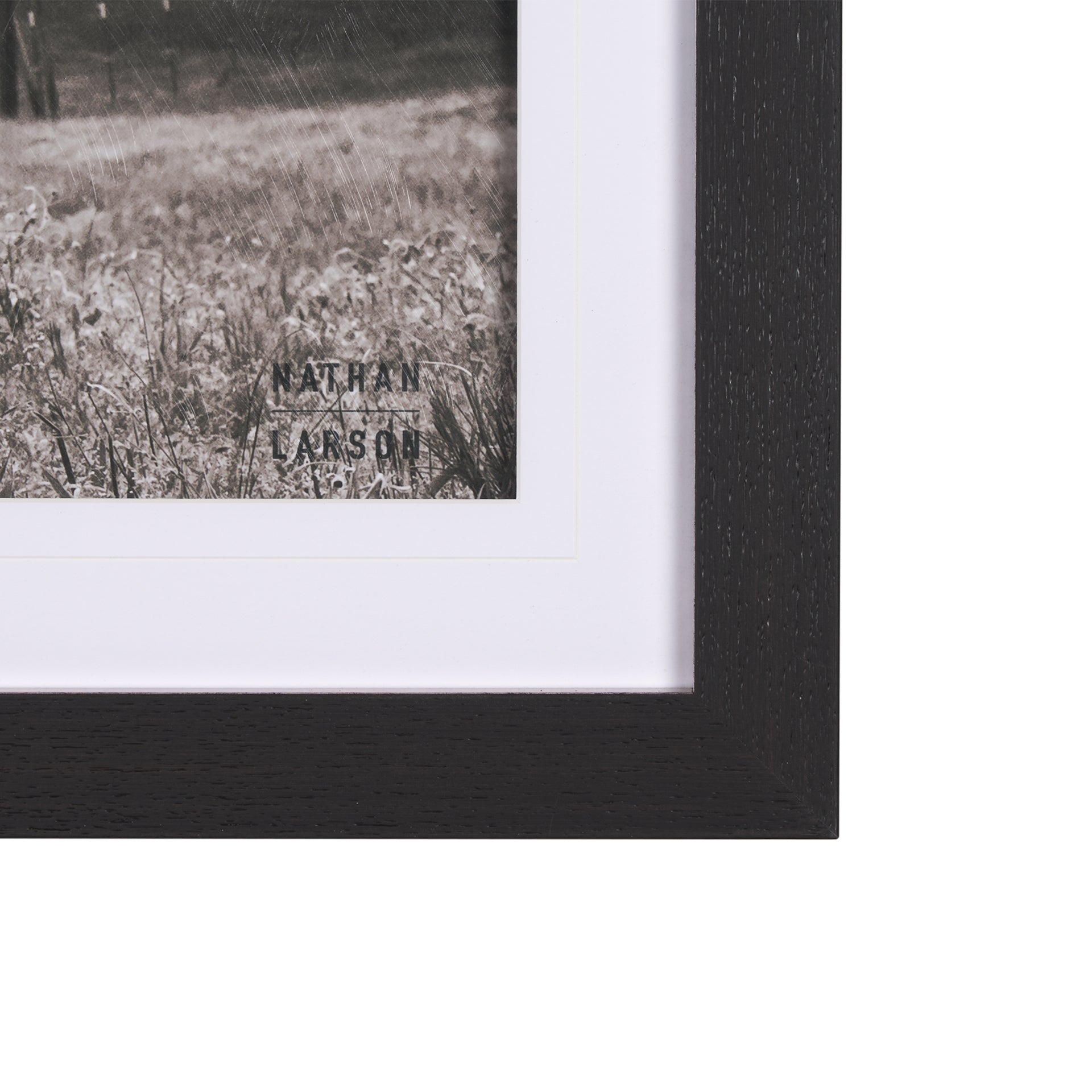 Josephine Interiors Longhorn - Thumbnail 2