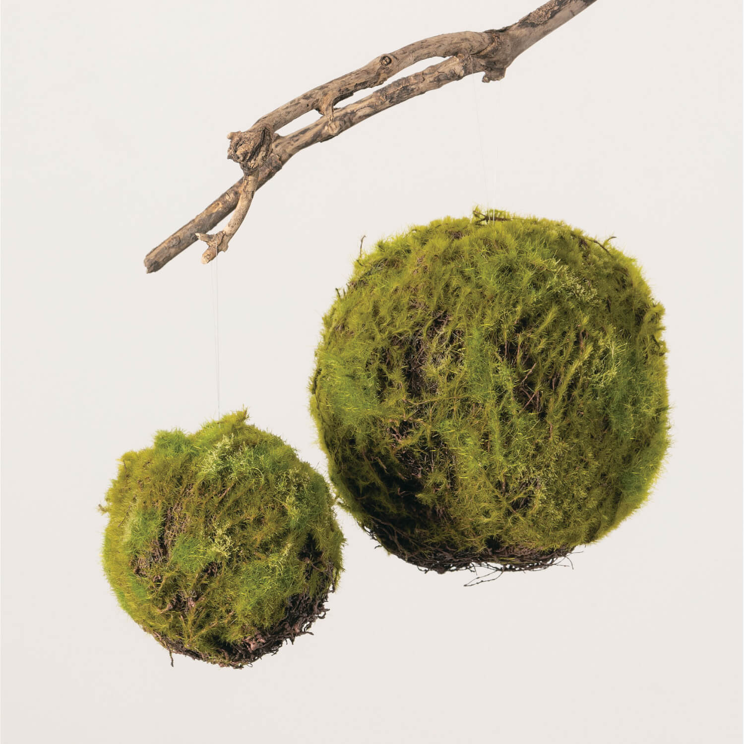 Josephine Interiors Moss Ball