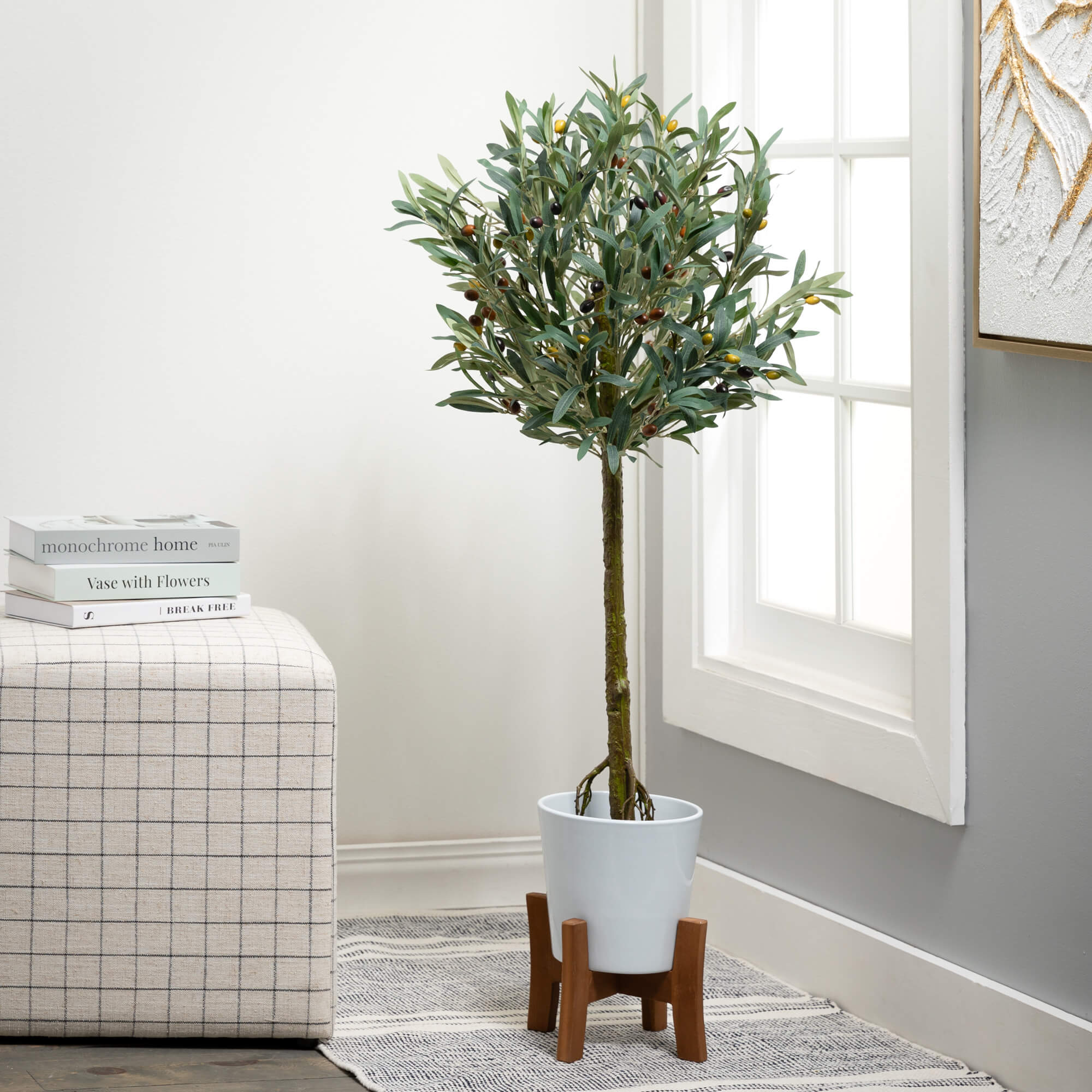 Potted Olive Tree - Thumbnail 2